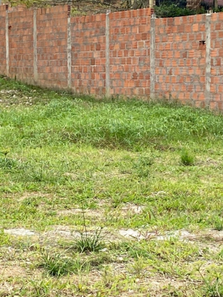 Cl. 134, Ibagué, Tolima, Colombia 5